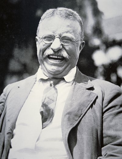 President Theodore Roosevelt, ca. 1917 (s/hvitt-bilde) av American Photographer