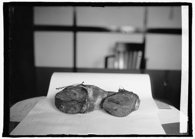 Prohibition Unit (Cow Shoes), 28. juni 1924 (s/hvitt-bilde) av American Photographer