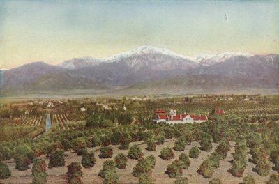 Redlands, California, Utsikt fra Smiley Heights (farget bilde) av American Photographer