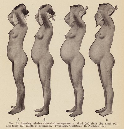 Tegn og symptomer på graviditet (svart-hvitt-bilde) av American Photographer