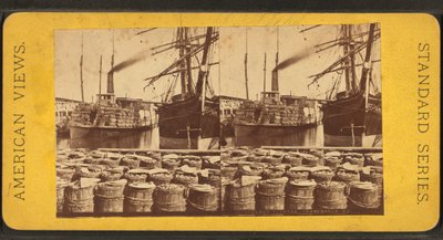 Stereoskopisk visning av dampbåten "Planter", Charleston, S.C. av American Photographer
