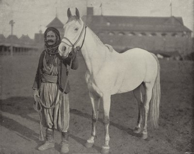 Beduinprisene Steed av American Photographer