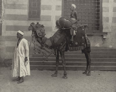 Den egyptiske Tom-Tom av American Photographer
