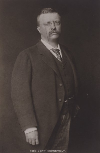 Theodore Roosevelt, 26. president i USA, 1904 av American Photographer