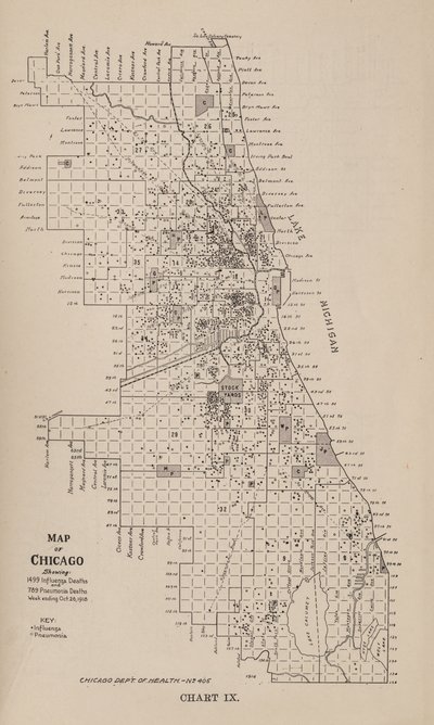 En rapport om en influensaepidemi i byen Chicago høsten 1918 av American School