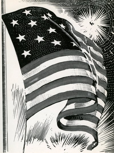 Amerikansk flagg vaier over Fort McHenry av American School