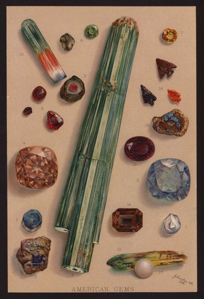 Amerikanske edelstener (fargelitografi) av American School