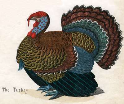 Antikk trykk av et Tyrkia av American School