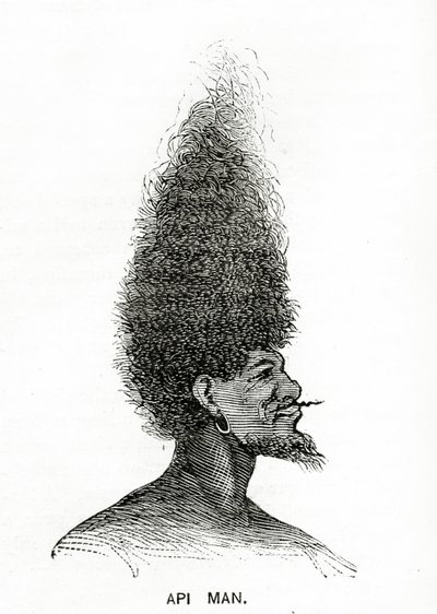 Api Man, illustrasjon fra Appletons Journal, 4. mai 1872 av American School