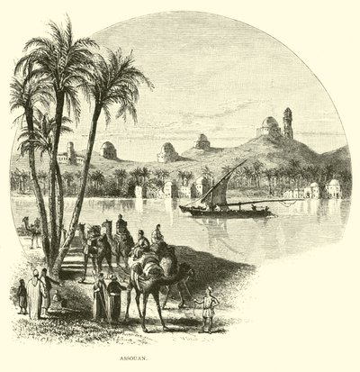 Aswan av American School