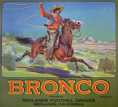 'Bronco appelsiner', ca. 1900 (farge litho) av American School