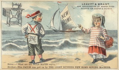 Bror Og Søster På Stranden av American School