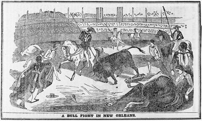 Oksekamp i New Orleans, fra Davy Crocketts Almanack, Boston, 1849 av American School