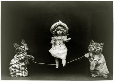 Cat curiousity, 1891 av American School