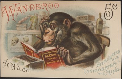 Charles Darwin, utviklingsteori (dvs. evolusjon) av American School