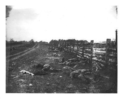Konfødererte døde langs vestsiden av Hagerstown Pike, slaget ved Antietam, 19. september 1862 av American School