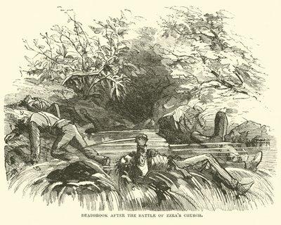 Deadbrook etter slaget ved Ezras kirke, august 1864 av American School