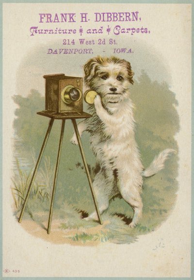 Hund med kamera av American School