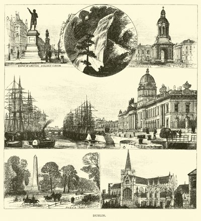 Dublin av American School