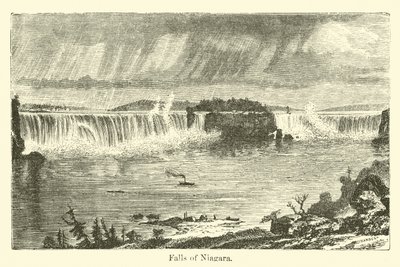 Falls of Niagara av American School