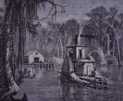 Florida Everglades scene av American School