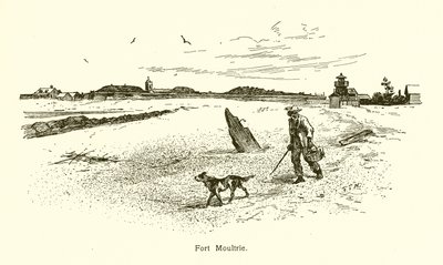 Fort Moultrie av American School