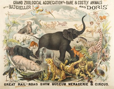 Grand zoologisk aggregasjon av sjeldne og kostbare dyr med Batcheller og Doris (chromolitho) av American School