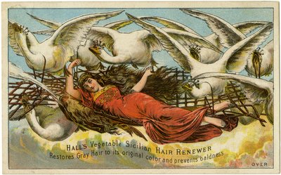 Halls Vegetabilsk Siciliansk Hair Renewer, Gjenoppretter grått hår til sin opprinnelige farge og forhindrer skallethet, Recto (farge litho [varekort]) av American School