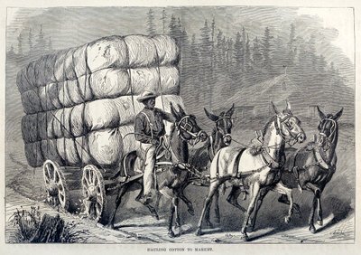 Hauling Cotton to Market, fra One Hundred Years