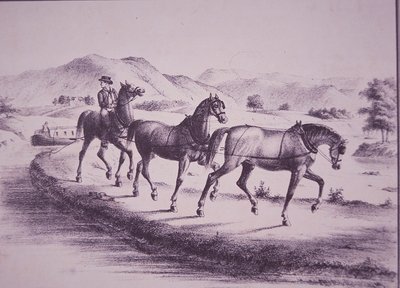 Hester som trekker en kanalbåt på Erie Canal (gravering) av American School