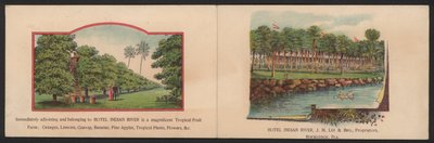 Hotel Trade Card (farget gravering) av American School