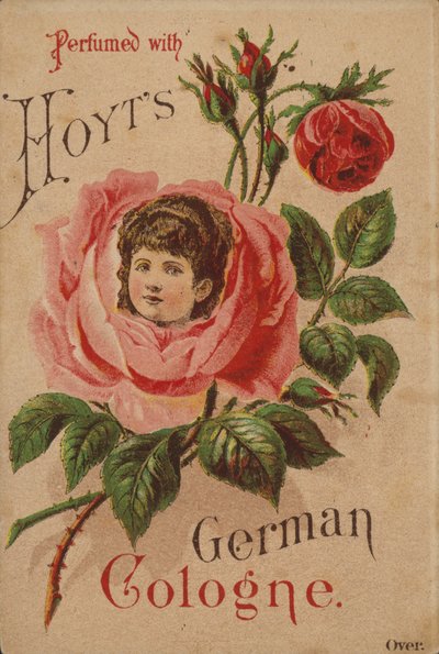 Hoyts tyske Köln av American School