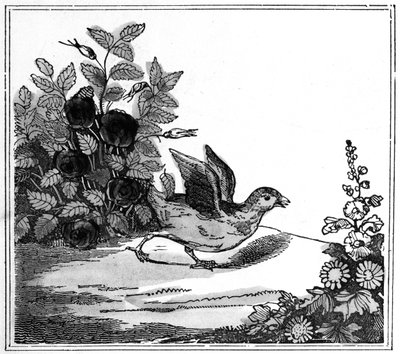 Illustrasjon fra den bemerkelsesverdige historien om Chicken Little, 1840 av American School