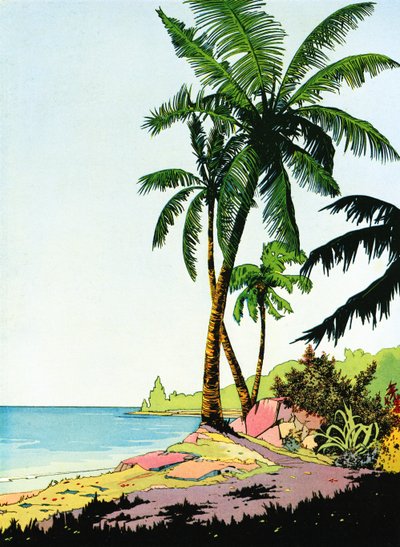 Illustrasjon av strandparadis med palmetrær av American School