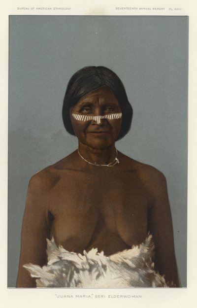 Juana Maria, Elderwoman-serien av American School