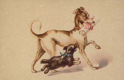 Stor og liten hund som løper av American School