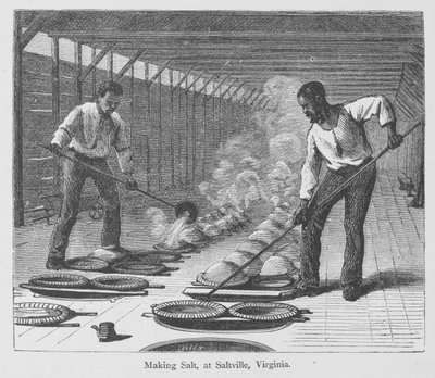 Lage salt i Slatville, Virginia, fra 'The Great South' av Edward King, utgitt ca. 1874 (gravering) av American School