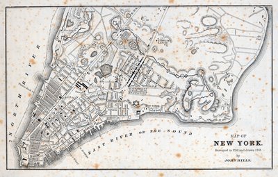 Kart over New York (litho) av American School
