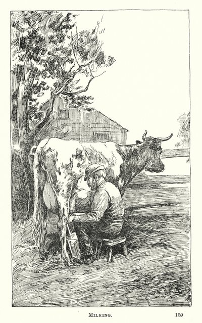 Melking (gravering) av American School
