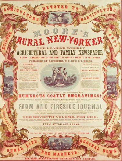 Moores landlige New-Yorker av American School