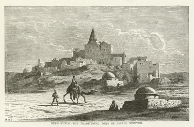 Nebbi-Yunus (Jonas tradisjonelle grav), Nineveh av American School