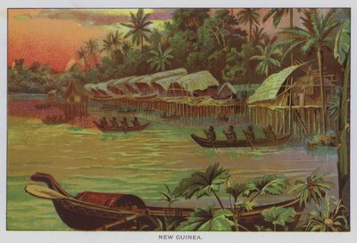 Ny Guinea av American School