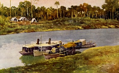 På øvre Amazonas (farge litho) av American School