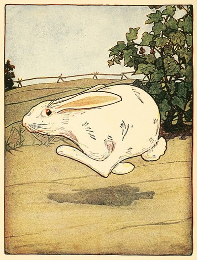 Peter sluttet aldri å løpe, fra The Tale of Peter Rabbit, pub. 1916 fargelitografi, 1916. av American School