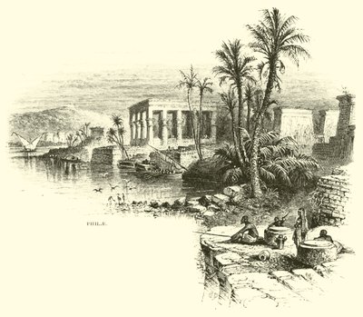 Philae av American School
