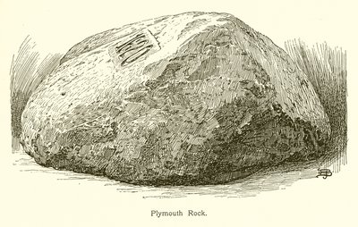 Plymouth Rock av American School