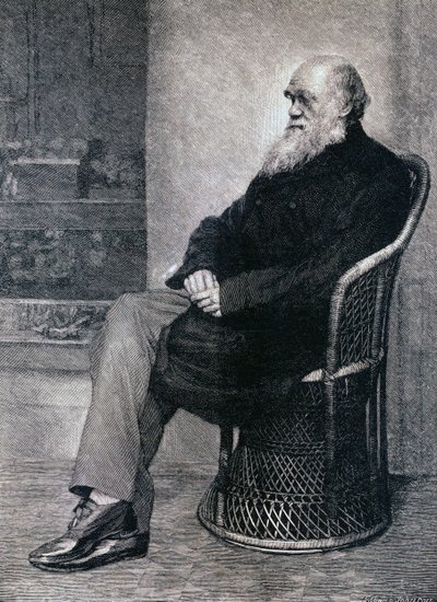 Portrett av Charles Darwin av American School