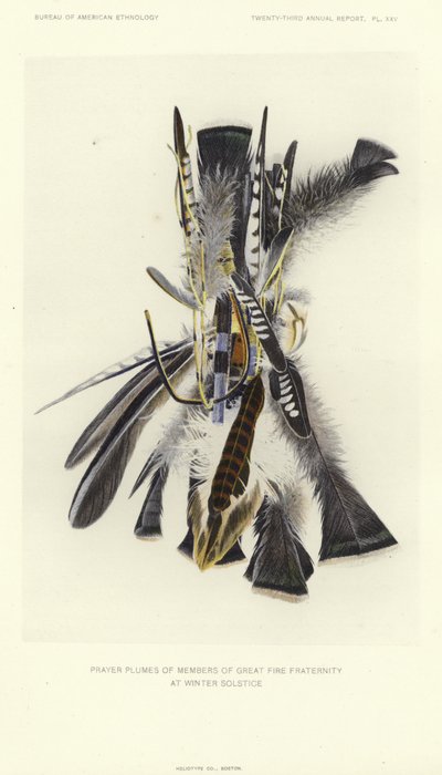 Bønnefjær fra medlemmer av den store ildbrorskapet ved vintersolverv (fargelitografi) av American School