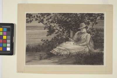 Reverie (blekk) av American School