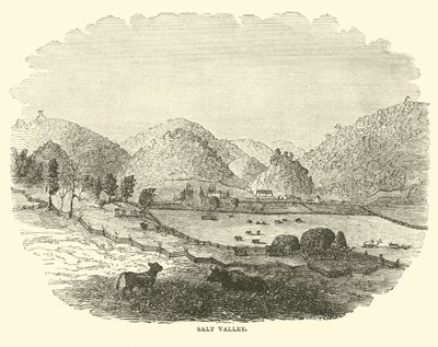 Salt Valley, desember 1864 av American School
